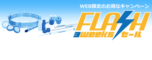web限定FLASH3週間キャンペーン特設ページ