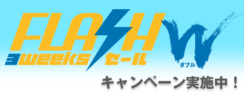 ウェブ限定で最大半額のキャンペーン！