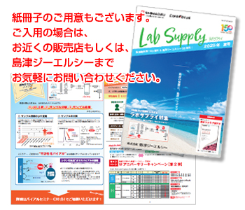 PDFダウンロードはこちら