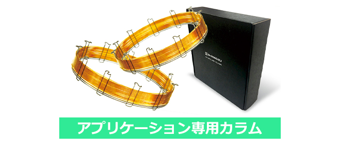 アプリケーション専用カラム