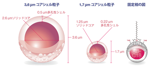 Aeris™ PEPTIDE