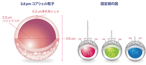 Aeris™ WIDEPORE