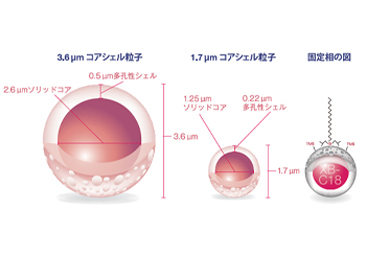 固定相ラインナップ
