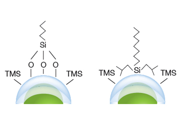 固定相ラインナップ