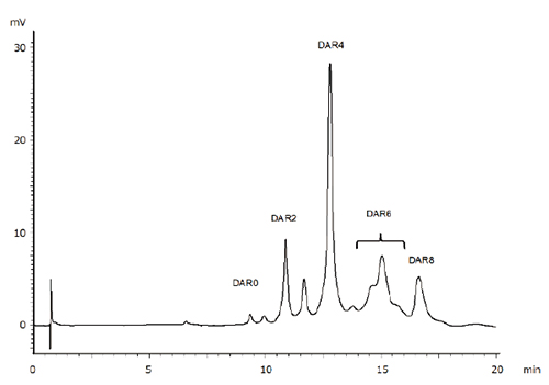 抗体薬物複合体（ADC）の薬物抗体比（DAR）分析に最適
