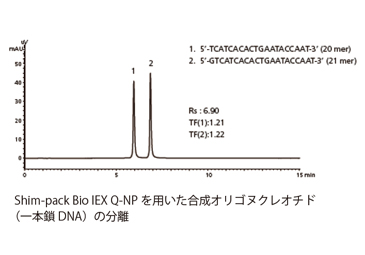 イオン交換クロマトグラフィーカラム（Shim-pack Bio IEX）