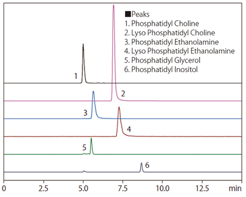 リン脂質の分析（UC-Diol ／ UC-Diol Ⅱ）