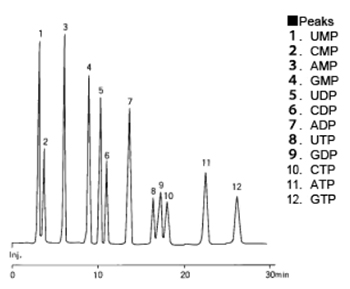 モノヌクレオチドの分析