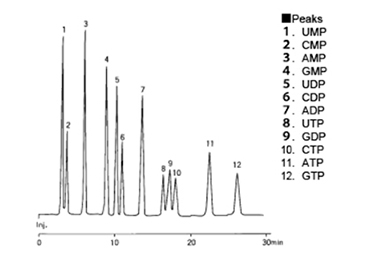 モノヌクレオチドの分析