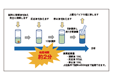 Shinwa DS-TG（メチルエステル誘導体化試薬キット）