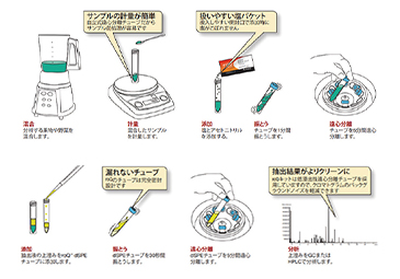 手順について