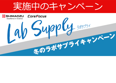 【12月2日から】冬のお買い得キャンペーンのご案内はこちら